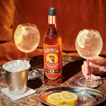 Armin Tonic